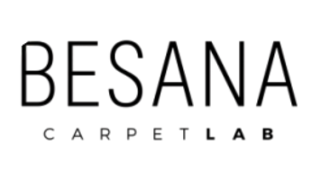 logo-besana.png